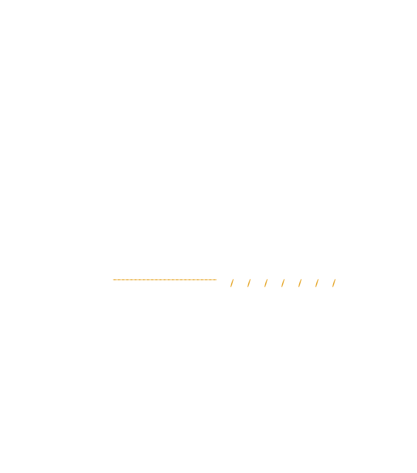 富宇森之樹團隊｜燈光照明大師｜羅伊真